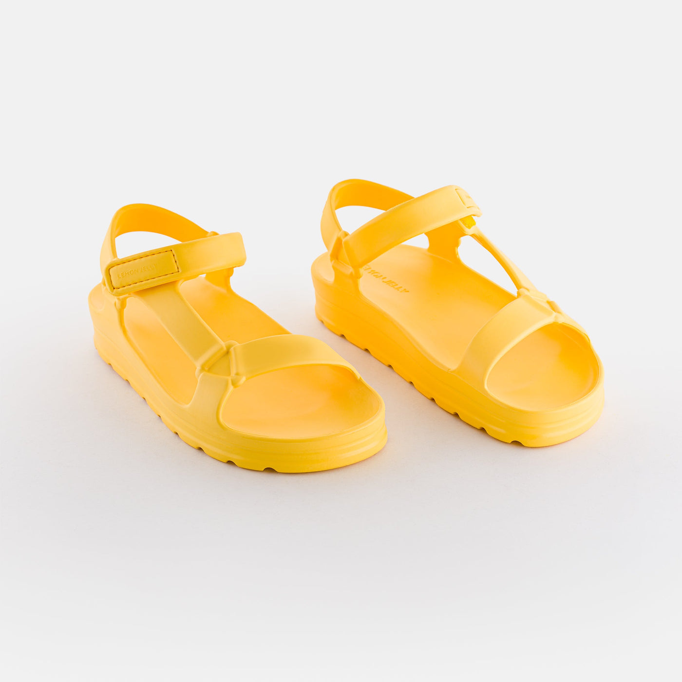 Nola Yellow Bee