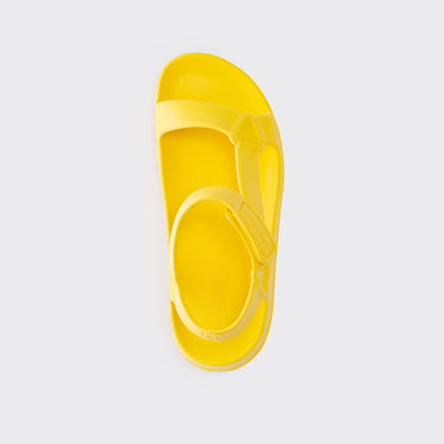 Nola Yellow Bee